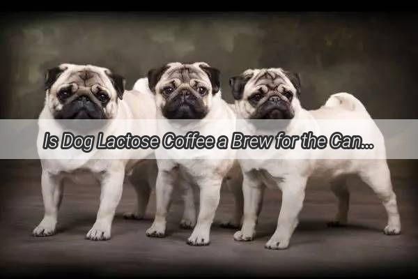 Is Dog Lactose Coffee a Brew for the Canine Connoisseur Discover the Surprising Truth